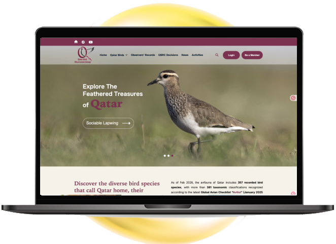 cs-aspirations: website design, Mobile apps Amman Jordan